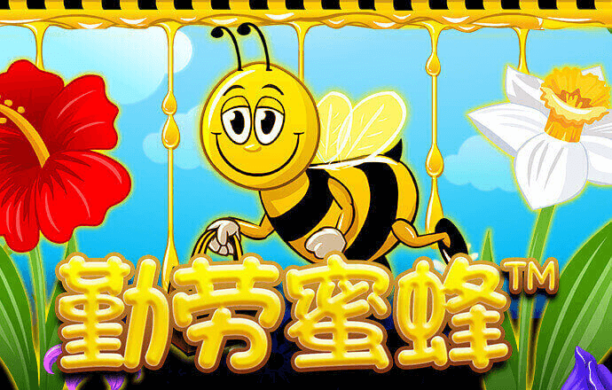 6688体育手机版登录
